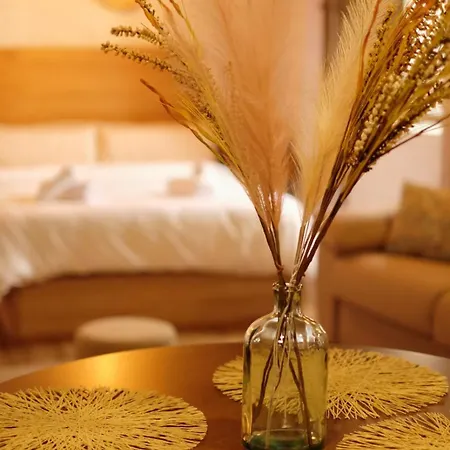 Apartment Estudio Casco Historico *